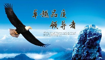 管家婆正版今晚开奖