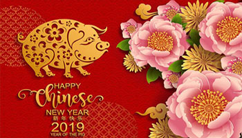 管家婆正版今晚开奖